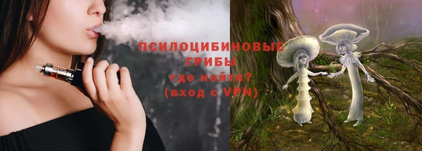 spice Абаза